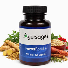 AYURSAGES POWER BOOST PLUS