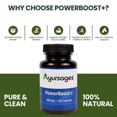 AYURSAGES POWER BOOST PLUS