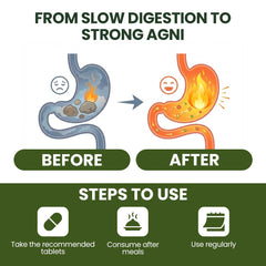 AYURSAGES AGNI BOOST