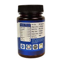 AYURSAGES POWER BOOST PLUS