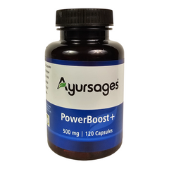 AYURSAGES POWER BOOST PLUS