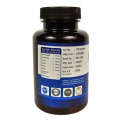 AYURSAGES POWER BOOST PLUS