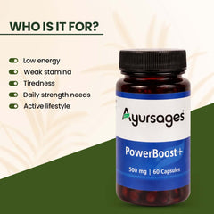 AYURSAGES POWER BOOST PLUS