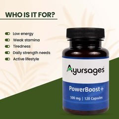 AYURSAGES POWER BOOST PLUS